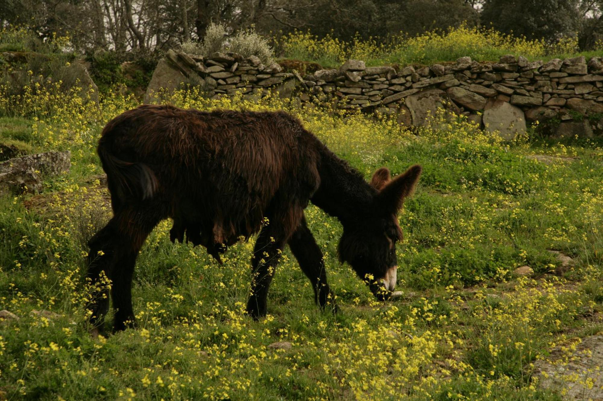 La Casa De Los Arribes Fornillos de Fermoselle Εξωτερικό φωτογραφία
