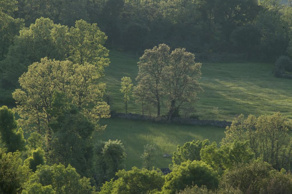 La Casa De Los Arribes Fornillos de Fermoselle Εξωτερικό φωτογραφία