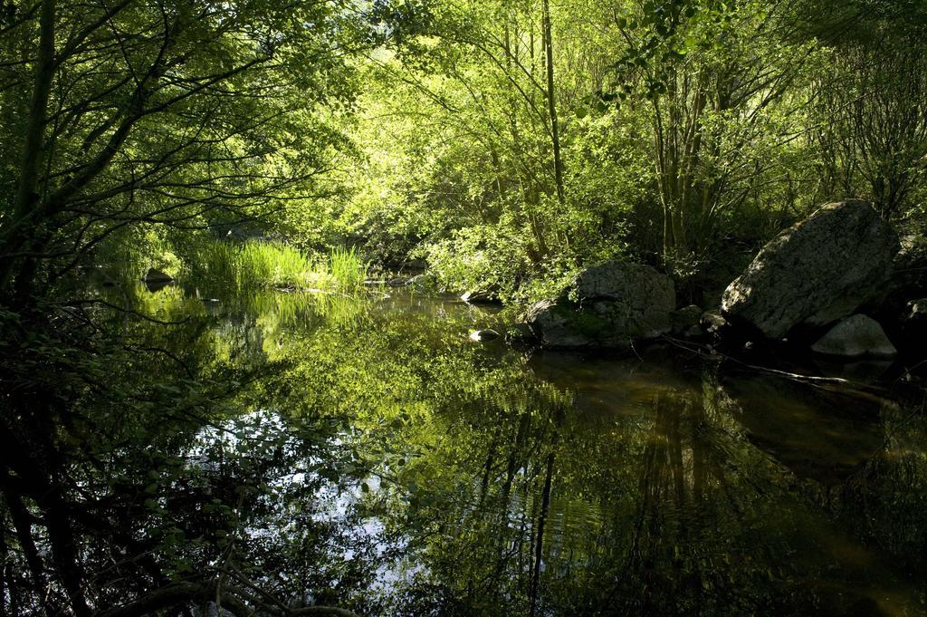 La Casa De Los Arribes Fornillos de Fermoselle Εξωτερικό φωτογραφία